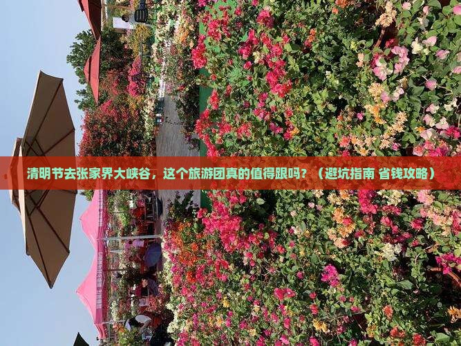 清明节去张家界大峡谷大型旅游团