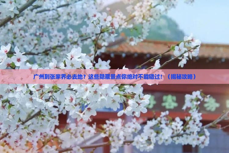 广州到张家界必去地