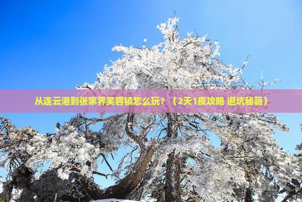 连云港去张家界芙蓉镇旅游