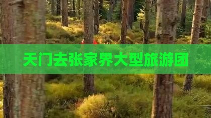 天门去张家界大型旅游团