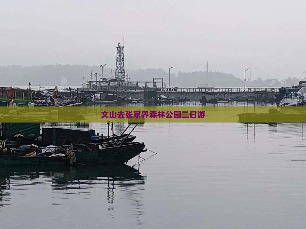 文山去张家界森林公园二日游