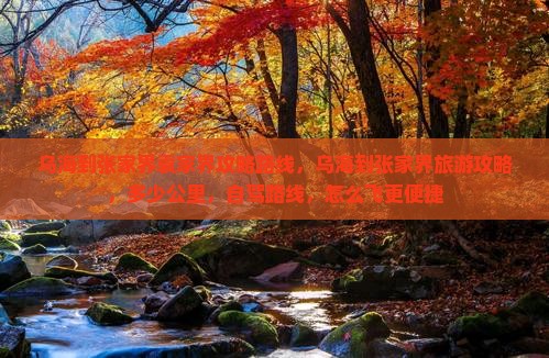 乌海到张家界袁家界攻略