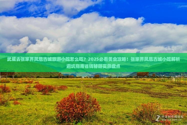 武威去张家界凤凰古城旅游小吃