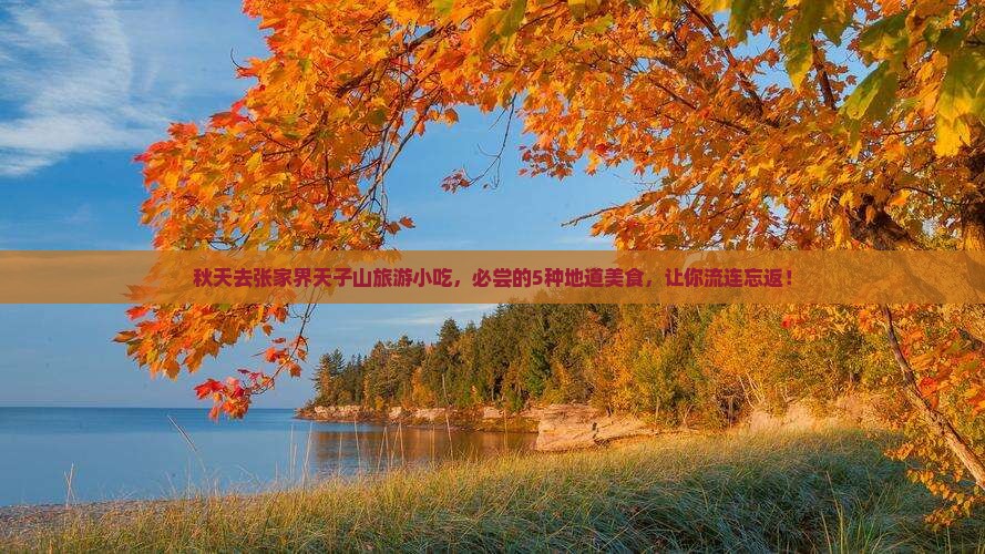 秋天去张家界天子山旅游小吃
