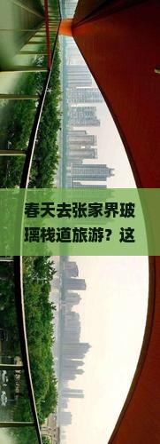 春天去张家界玻璃栈道旅游