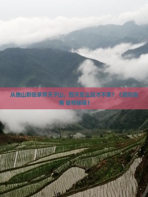 唐山到张家界天子山四日游