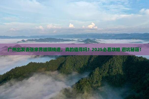 广州去张家界玻璃栈道旅游