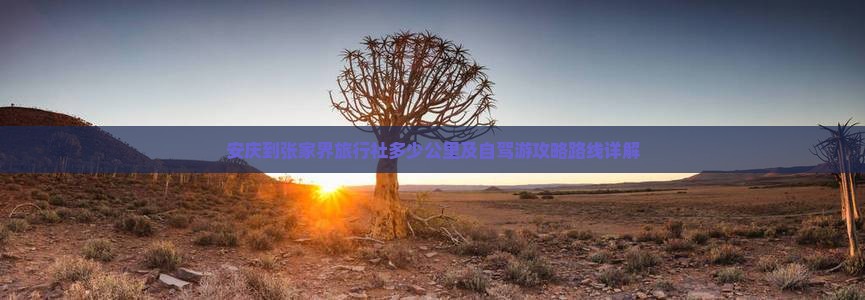 安庆到张家界旅行社