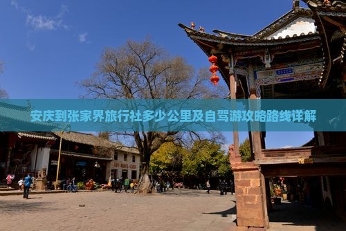 安庆到张家界旅行社