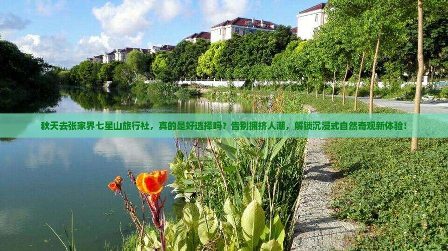 秋天去张家界七星山旅行社