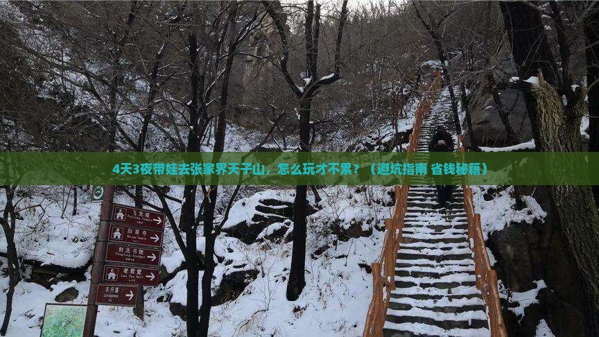 清明节去张家界天子山四日游