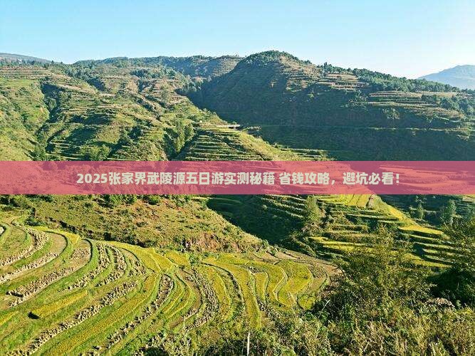 七月到张家界武陵源五日游