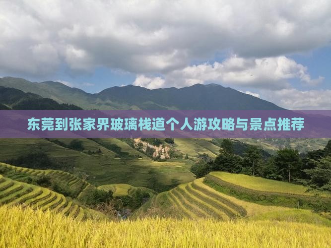 东莞到张家界玻璃栈道个人游