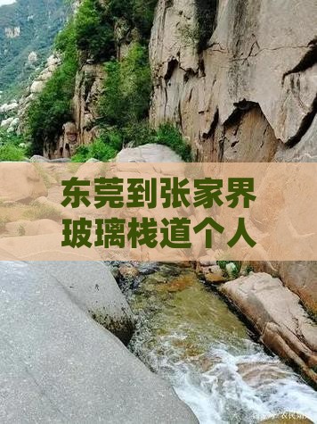 东莞到张家界玻璃栈道个人游