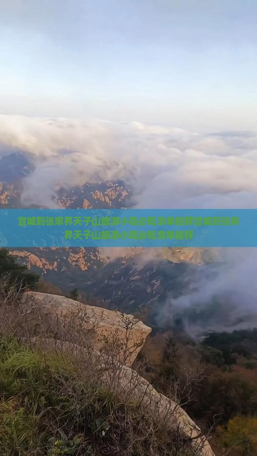宣城到张家界天子山旅游小吃
