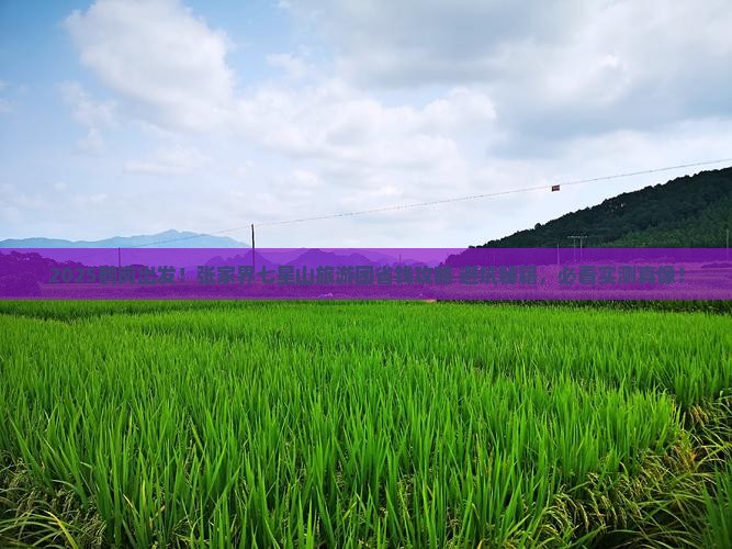 鹤岗到张家界七星山大型旅游团