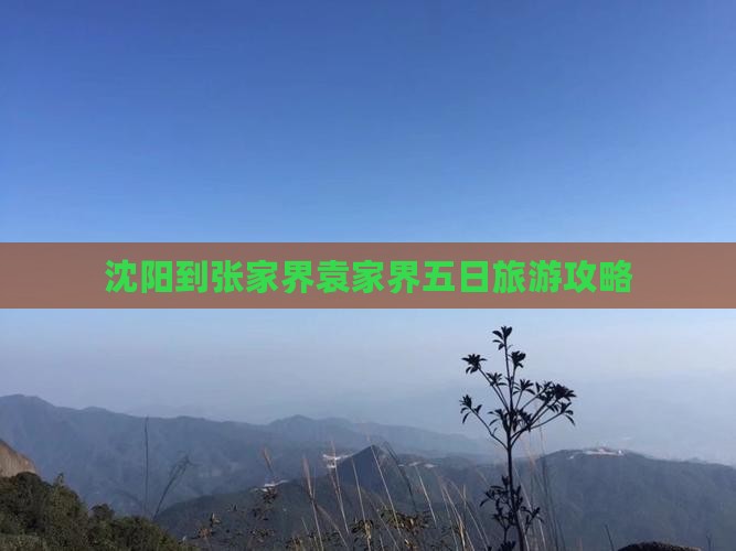 沈阳到张家界袁家界五日旅游攻略