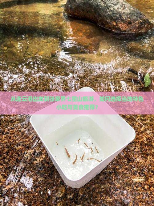 从连云港出发到张家界七星山旅游，如何选择当地特色小吃与美食推荐？