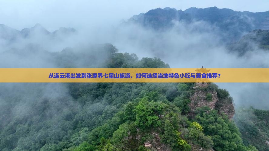 从连云港出发到张家界七星山旅游，如何选择当地特色小吃与美食推荐？