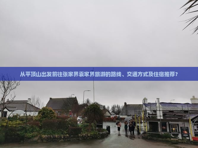 从平顶山出发前往张家界袁家界旅游的路线、交通方式及住宿推荐？