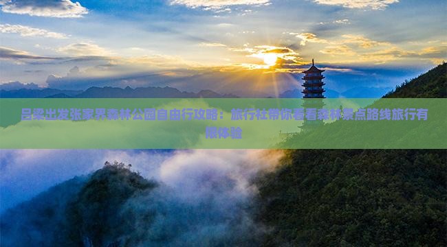 吕梁出发张家界森林公园自由行攻略：旅行社带你看看森林景点路线旅行有限体验