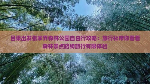 吕梁出发张家界森林公园自由行攻略：旅行社带你看看森林景点路线旅行有限体验