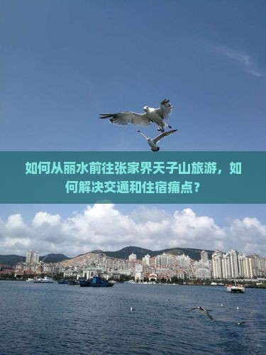 如何从丽水前往张家界天子山旅游，如何解决交通和住宿痛点？