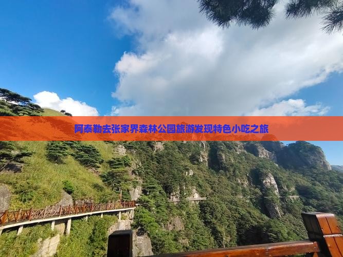 阿泰勒去张家界森林公园旅游发现特色小吃之旅