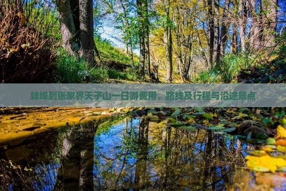 蚌埠到张家界天子山一日游费用、路线及行程与沿途景点