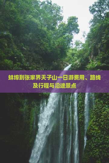 蚌埠到张家界天子山一日游费用、路线及行程与沿途景点