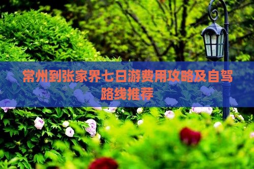 常州到张家界七日游费用攻略及自驾路线推荐