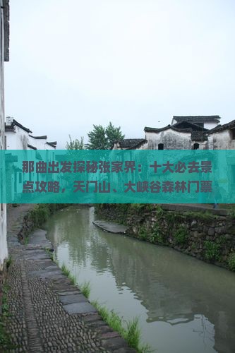 那曲出发探秘张家界：十大必去景点攻略，天门山、大峡谷森林门票信息，国际旅行社专业旅行指南看看这里！