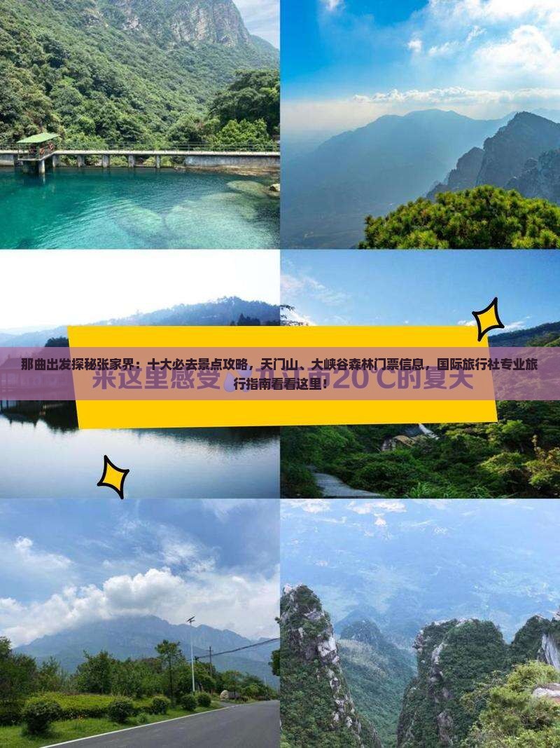 那曲出发探秘张家界：十大必去景点攻略，天门山、大峡谷森林门票信息，国际旅行社专业旅行指南看看这里！