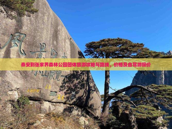 泰安到张家界森林公园团体旅游攻略与路线、价格及自驾游报价