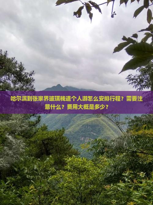 哈尔滨到张家界玻璃栈道个人游怎么安排行程？需要注意什么？费用大概是多少？