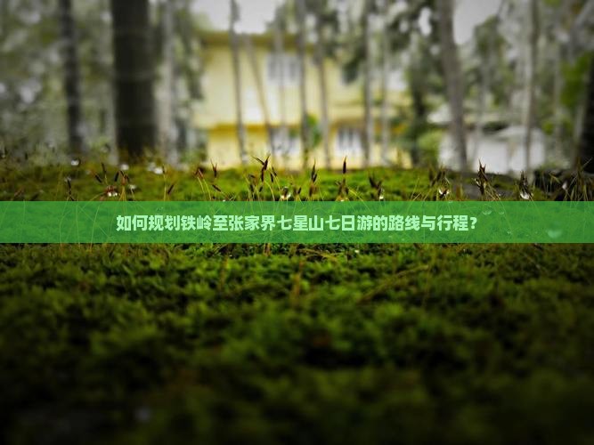 如何规划铁岭至张家界七星山七日游的路线与行程？