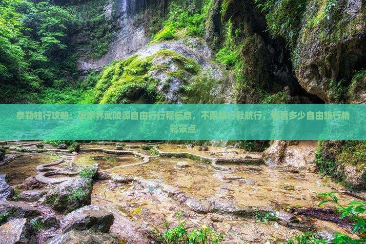 泰勒独行攻略：张家界武陵源自由行行程信息，不跟旅行社航行，看看多少自由旅行精彩景点