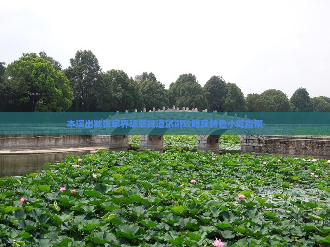 本溪出发张家界玻璃栈道旅游攻略及特色小吃指南