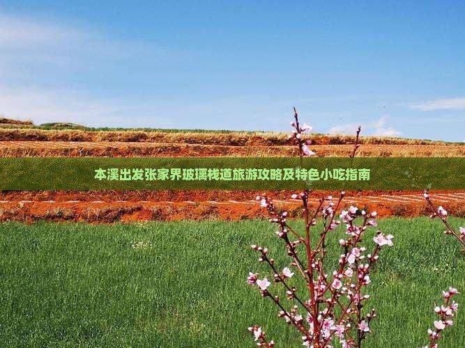 本溪出发张家界玻璃栈道旅游攻略及特色小吃指南