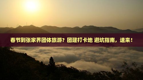 春节到张家界团体旅游？团建打卡地+避坑指南，速来！