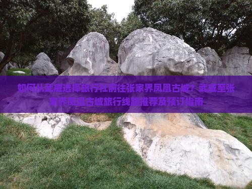 如何从武威选择旅行社前往张家界凤凰古城？武威至张家界凤凰古城旅行线路推荐及预订指南