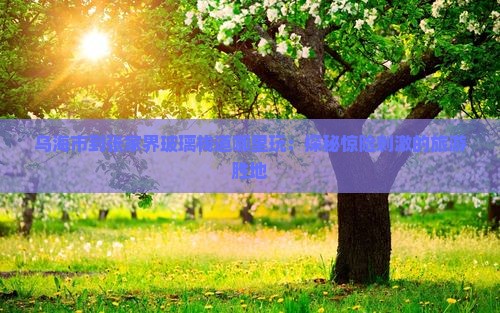 乌海市到张家界玻璃栈道哪里玩：探秘惊险刺激的旅游胜地