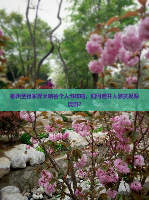 郴州至张家界大峡谷个人游攻略，如何避开人潮实现深度游？