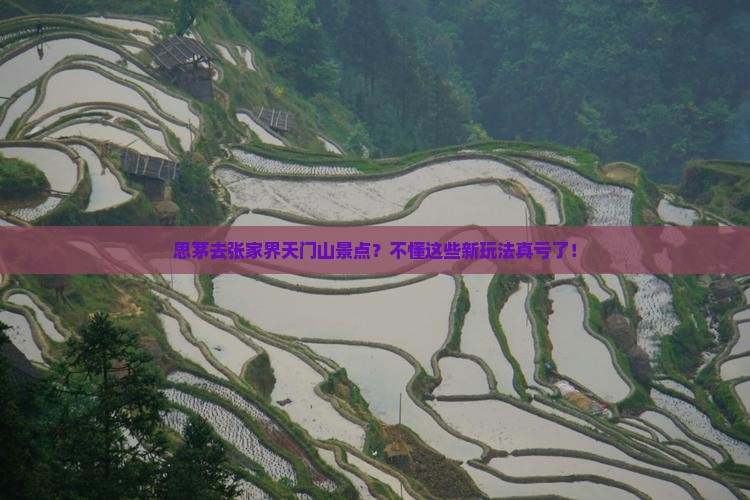 思茅去张家界天门山景点？不懂这些新玩法真亏了！
