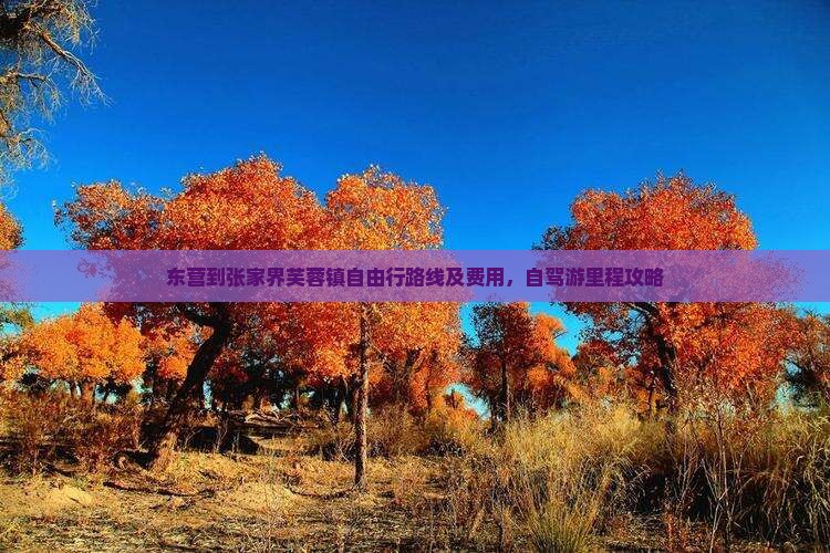 东营到张家界芙蓉镇自由行路线及费用，自驾游里程攻略