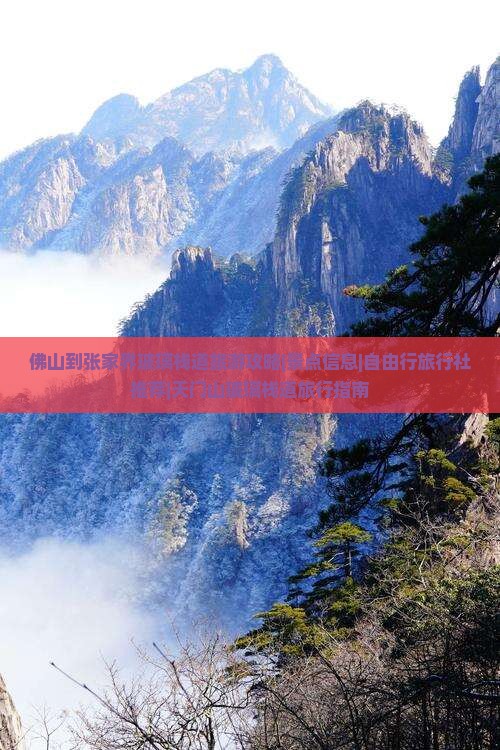 佛山到张家界玻璃栈道旅游攻略|景点信息|自由行旅行社推荐|天门山玻璃栈道旅行指南