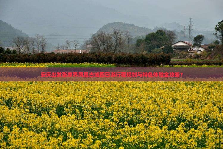 安庆出发张家界凤凰古城四日游行程规划与特色体验全攻略？