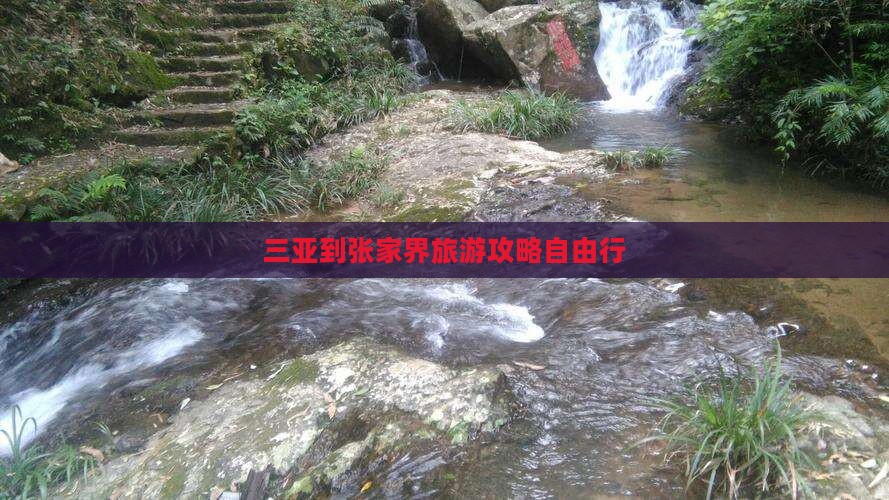 三亚到张家界旅游攻略自由行