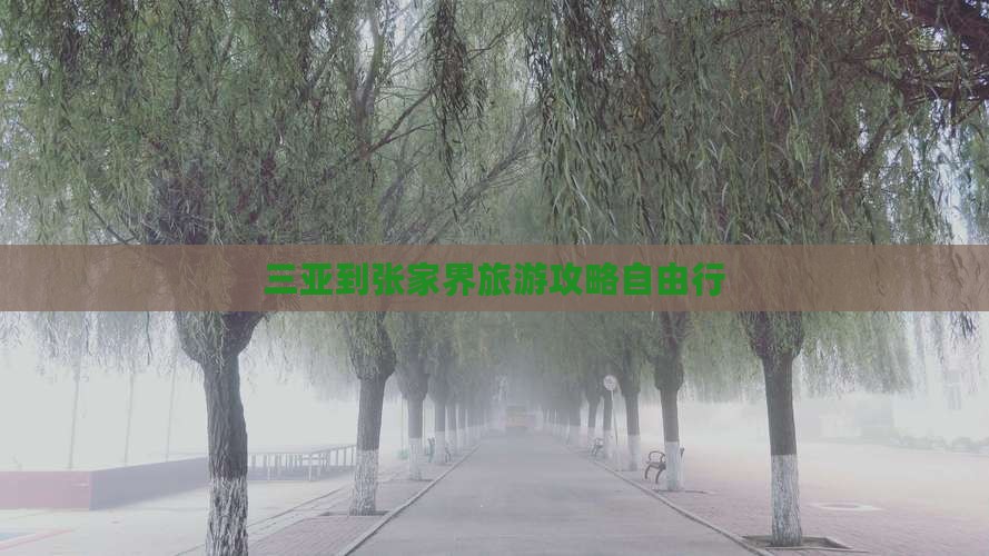 三亚到张家界旅游攻略自由行