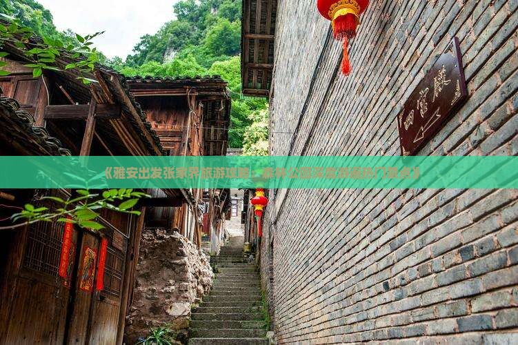 《雅安出发张家界旅游攻略：森林公园深度游遍热门景点》